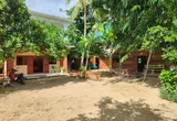 La cour de l’école