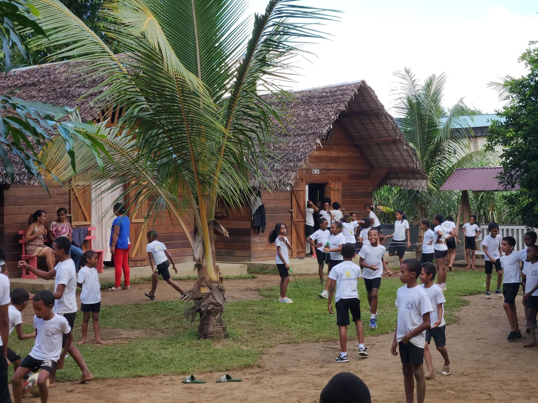 La cour de l’école à Maroantsetra, sous les cocotiers